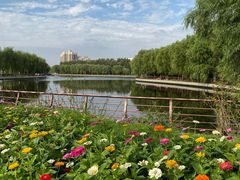 -长春公园(普阳街道)