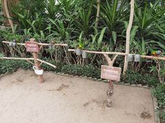 -南宫五洲植物乐园