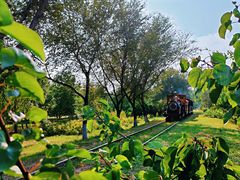 -永定河休闲森林公园