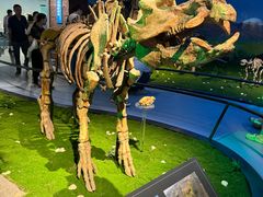 -安徽省地质博物馆