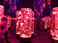 -成都浩海立方海洋公园