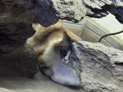 -白兔子密室(长寿路店)