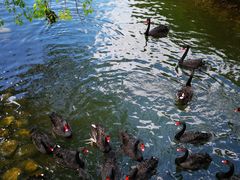 -长白岛森林公园