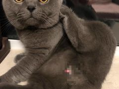 -宠颐生动物医院·心脏科·保险定点(锦阳分院)