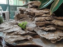 -食德喜·阳山鸡王食研基地