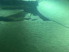 -白鹤梁水下博物馆