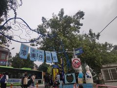 -猫街饭团(顶澳仔猫街店)