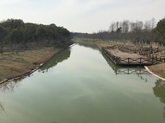 -上海海湾国家森林公园