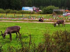 -塞罕坝国家级自然保护区