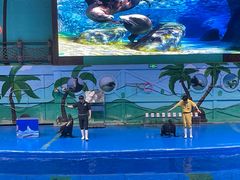 -石家庄极地海洋世界