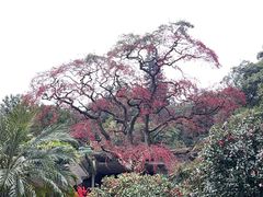 -广州市白云山风景名胜区
