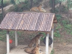 -石家庄市动物园