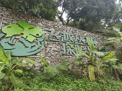 -芦仙山景区-飞越丛林探险乐园