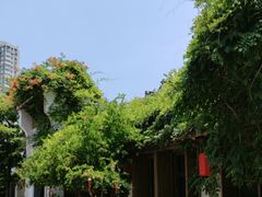 -鲤院·新中式美学·庭院餐厅(夫子庙店)