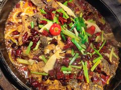 -老板恋上鱼(恒隆广场店)