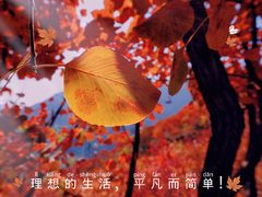 -周口店坡峰岭风景区