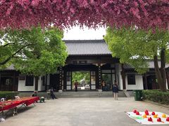 -南汇桃花村