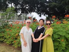 -风云岭森林公园