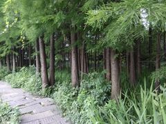 -东湖落雁景区