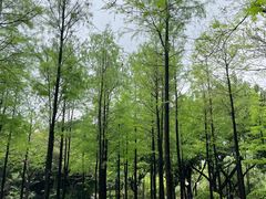 -晓港公园
