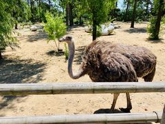 -大连森林动物园