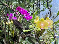 -东莞植物园