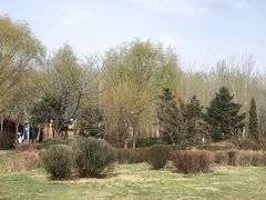 -丁香湖公园