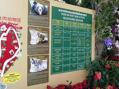 -清迈夜间动物园