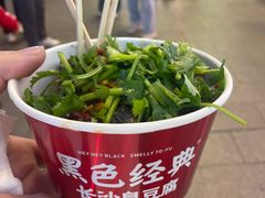 -黑色经典臭豆腐·湖南特产(潇湘文化店)