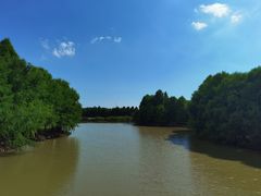 -上海海湾国家森林公园