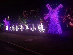 -大塘金香草谷