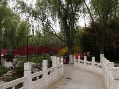 -莲花池公园