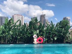 -深圳君悦酒店-游泳池