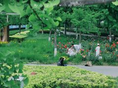-大兴滨河森林公园