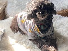 -爱侣宠医·鹦鹉专科·小型哺乳类·异宠专科(灵石路店)