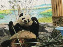 -秦皇岛野生动物园