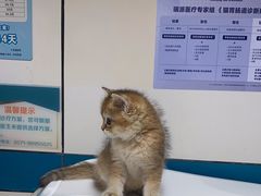 -虹泰宠物医院 ·旗舰店·24h(南秀路店)