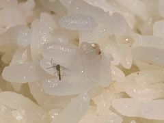 -胡马八破·川菜小馆(高新万达店)