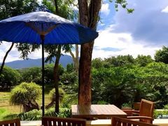 -四季酒店下午茶