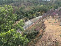 -小南山公园