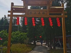 -渌洋湖湿地公园