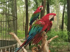 -北京野生动物园