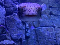 -成都浩海立方海洋公园