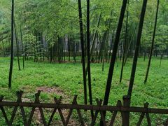 -浙江大学(玉泉校区)