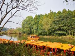 -溱湖国家湿地公园