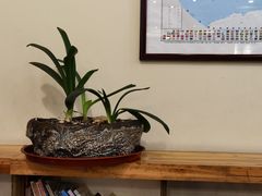 -乡村人家(恒生阳光城店)