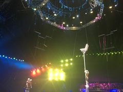 -珠海横琴长隆《卡卡虎奇遇记》