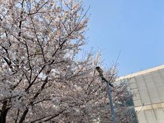 -龙美术馆(西岸馆)