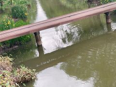 -上海滨江森林公园