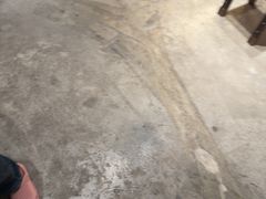 -金苑酒家·客家菜·广东老字号(万象店)